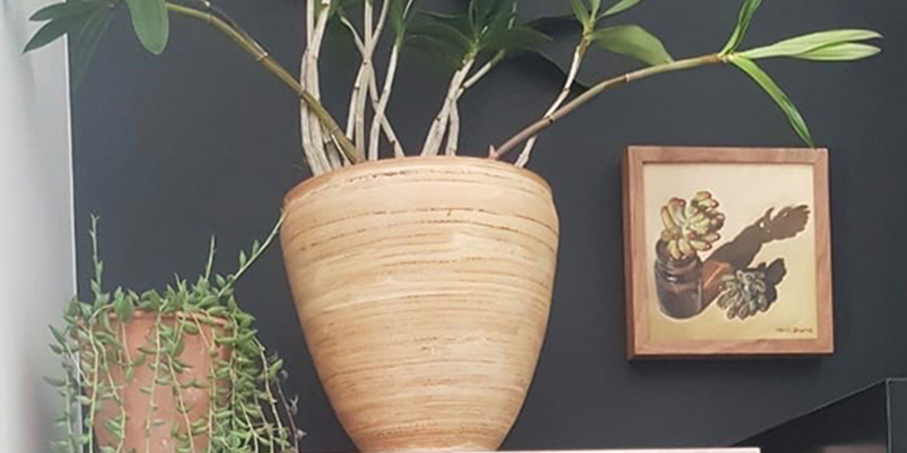 Cape Palette Art in the home
